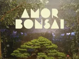 LOS PERICOS & EL PLAN DE LA MARIPOSA PRESENTAN “AMOR BONSAI”
