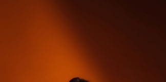 HELLO SEAHORSE! ESTRENA SU NUEVO TEMA “EL FINAL” Y NOS ANUNCIA LAS FECHAS DE SU GIRA POR LOS EE. UU. hello seahorse