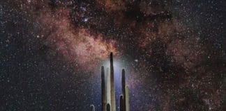 El Sahuaro estrena su sencillo debut “Tu Maldad” sahuaro