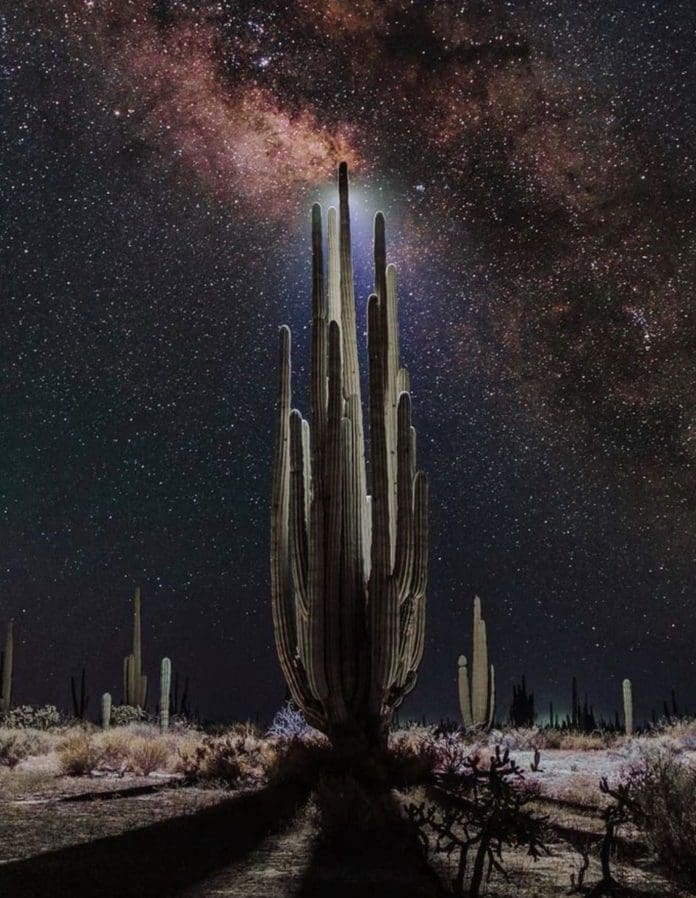 El Sahuaro estrena su sencillo debut “Tu Maldad” sahuaro