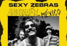 Sexy Zebras están listos para dar sus shows en Tecate Pal’ Norte y Foro Indie Rocks! Sexy Zebras tecate pal norte for indie rocks