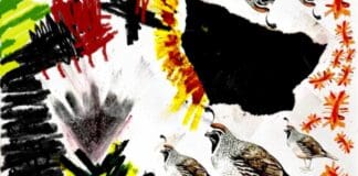 TERI GENDER BENDER ESTRENA SU NUEVO SENCILLO “VENGANZA DEL SOL”