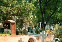 MILA LA MORENA LANZA UNA POTENTE CANCIÓN BILINGÜE DE SHOEGAZE “BROKEN” DE SU PRÓXIMO ÁLBUM POST INTERNET