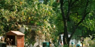 MILA LA MORENA LANZA UNA POTENTE CANCIÓN BILINGÜE DE SHOEGAZE “BROKEN” DE SU PRÓXIMO ÁLBUM POST INTERNET