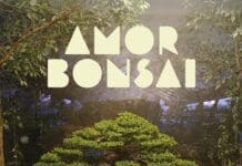 LOS PERICOS & EL PLAN DE LA MARIPOSA PRESENTAN “AMOR BONSAI”