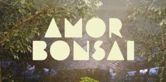 LOS PERICOS & EL PLAN DE LA MARIPOSA PRESENTAN “AMOR BONSAI”