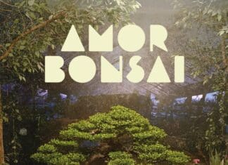 LOS PERICOS & EL PLAN DE LA MARIPOSA PRESENTAN “AMOR BONSAI”