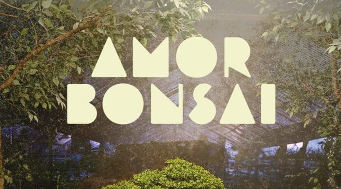 LOS PERICOS & EL PLAN DE LA MARIPOSA PRESENTAN “AMOR BONSAI”