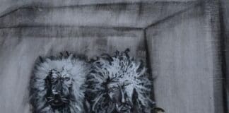 LUCANO Y LOS ASOLEAOS LANZA UNA NUEVA BALADA EMOCIONAL “QUERER CORRER”