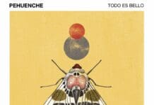 EL MÚSICO Y CANTANTE-COMPOSITOR MEXICANO PEHUENCHE LANZA UN NUEVO SENCILLO DE ROCK ELECTRÓNICO “TODO ES BELLO”