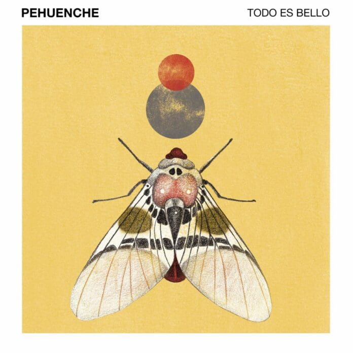 EL MÚSICO Y CANTANTE-COMPOSITOR MEXICANO PEHUENCHE LANZA UN NUEVO SENCILLO DE ROCK ELECTRÓNICO “TODO ES BELLO”